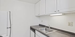 6356 Marchand St Gallery 15