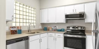 Fountain Palms Gallery 2