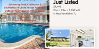 4411 Rustic Drive - 1 Gallery 1