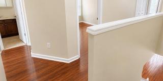 10222 PINK PALMATA COURT Gallery 18