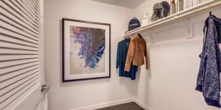 Windsor Queen Anne Gallery 21