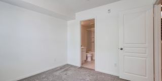 Available Now! Tri-Level 3 Bedroom 3.5 Bath Townhome!! Gallery 45