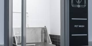 Alexan Webster Gallery 17