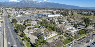 The Benson Gallery 8