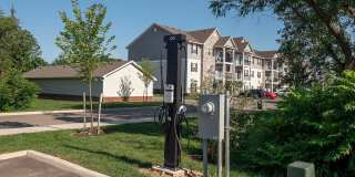 Alkire Meadows Gallery 20