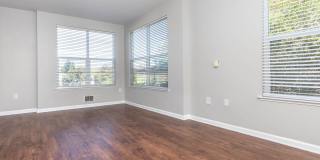 The Village at Town Center Gallery 127