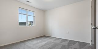 Lux North Lux North Gallery 24