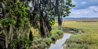Marsh Cove Marsh Cove Gallery 11