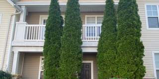 Ballantyne Beauty for Lease! Gallery 1