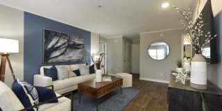 Adler Apartment Homes Gallery 11