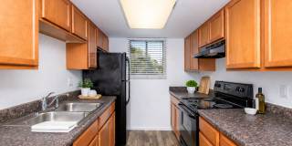 Azara Tempe Gallery 15