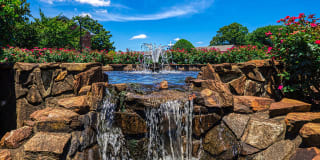 Holly Point Apartments Gallery 28
