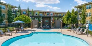 The Artisan Gallery 39