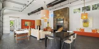 The Palms Gallery 17