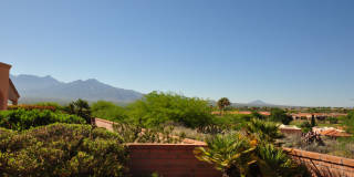 2017 W Via Nuevo Leon Gallery 15