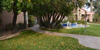 10101 N ARABIAN Trail Gallery 24