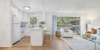 The Aspen South Coast Gallery 13