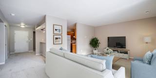 Georgetown Park Gallery 20