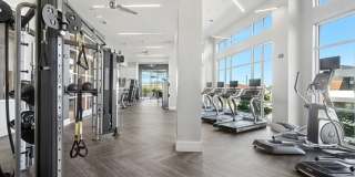 Avalon Lowry Gallery 37