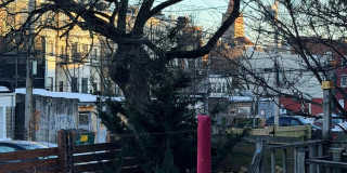 2439 MARYLAND Avenue Gallery 29