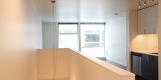 Rooster Gallery 44