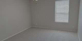 3935 ANGEL TRUMPET Gallery 15