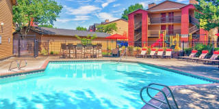 Alvista 23 Gallery 6