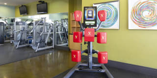 CitySouth Gallery 33