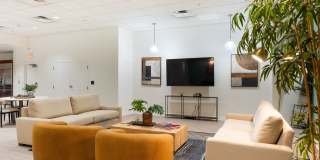 Miller and Rhoads Residences Gallery 14