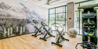 Parkside Esterra Gallery 37