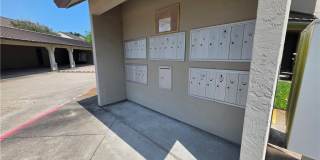 302 Saint Andrews Street Gallery 25