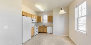 Alexis at Perry Pointe Gallery 58