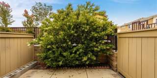 28511 Trento Way Gallery 14