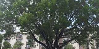 2701 Riverside Dr Gallery 2