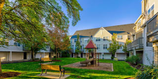 LionsGate North Gallery 5