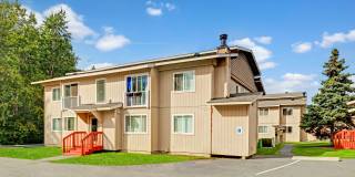 Conifer Grove Gallery 17