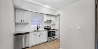 Renovated Apartment in the Heart of Carollwood Gallery 11