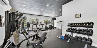 1813 Wood Fern Drive Gallery 28