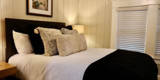 Stunning Historic Estate + In Ground Pool + Private Carriage House + Chef's Kitchen + Two Car Garage Gallery 46