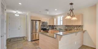 Boca Raton Gallery 11