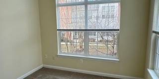 10715 Symphony Way Gallery 15