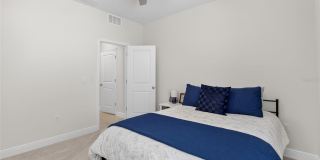 152 BRIGHT IBIS Avenue Gallery 15