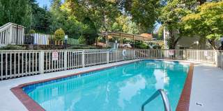 Miramonte Lodge Gallery 31
