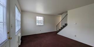 1181 D Kelburn Road Gallery 11