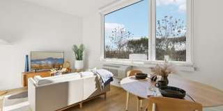 The Hazel Gallery 45