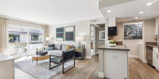 Sofi at Wood Ranch Gallery 2