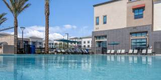 North Grove Gallery 3