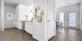 Terra Vista Gallery 5