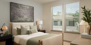 Afton Palms Gallery 8