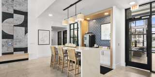 Arabelle Clearwater Gallery 7